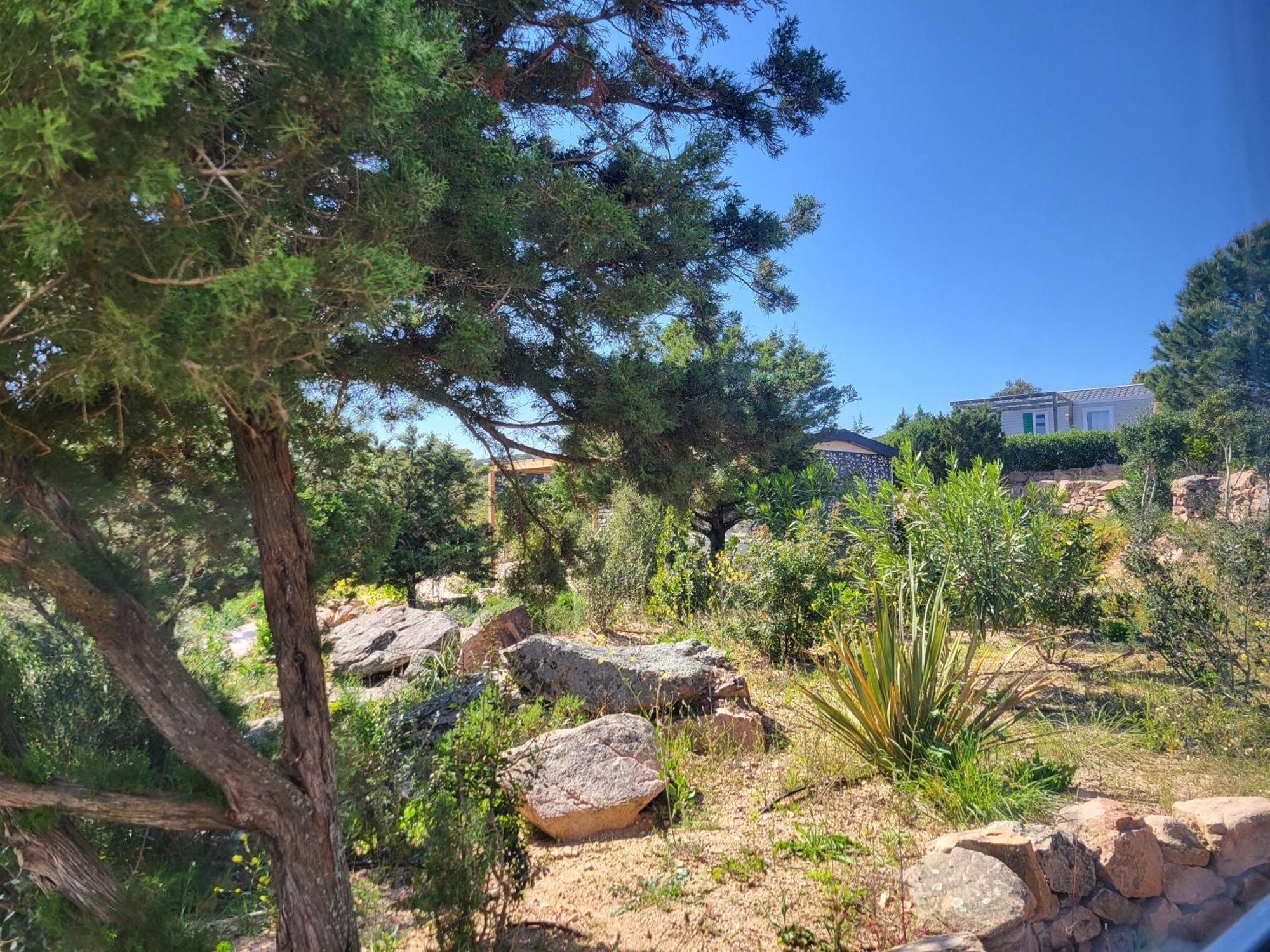 Camping Rondinara Bonifacio  Exterior foto
